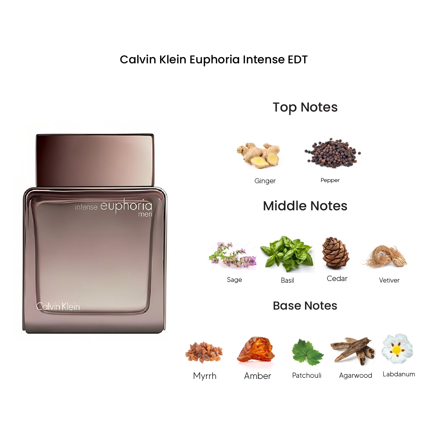 Calvin Klein Euphoria Intense Eau De Toilette for Men 100ML