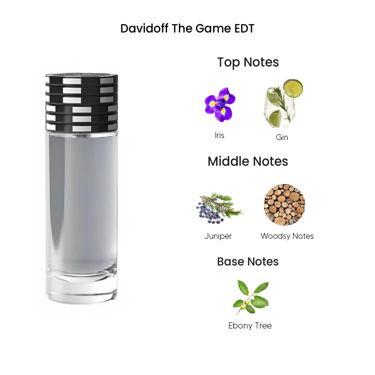 Davidoff The Game Eau De Toilette for Men 100ML