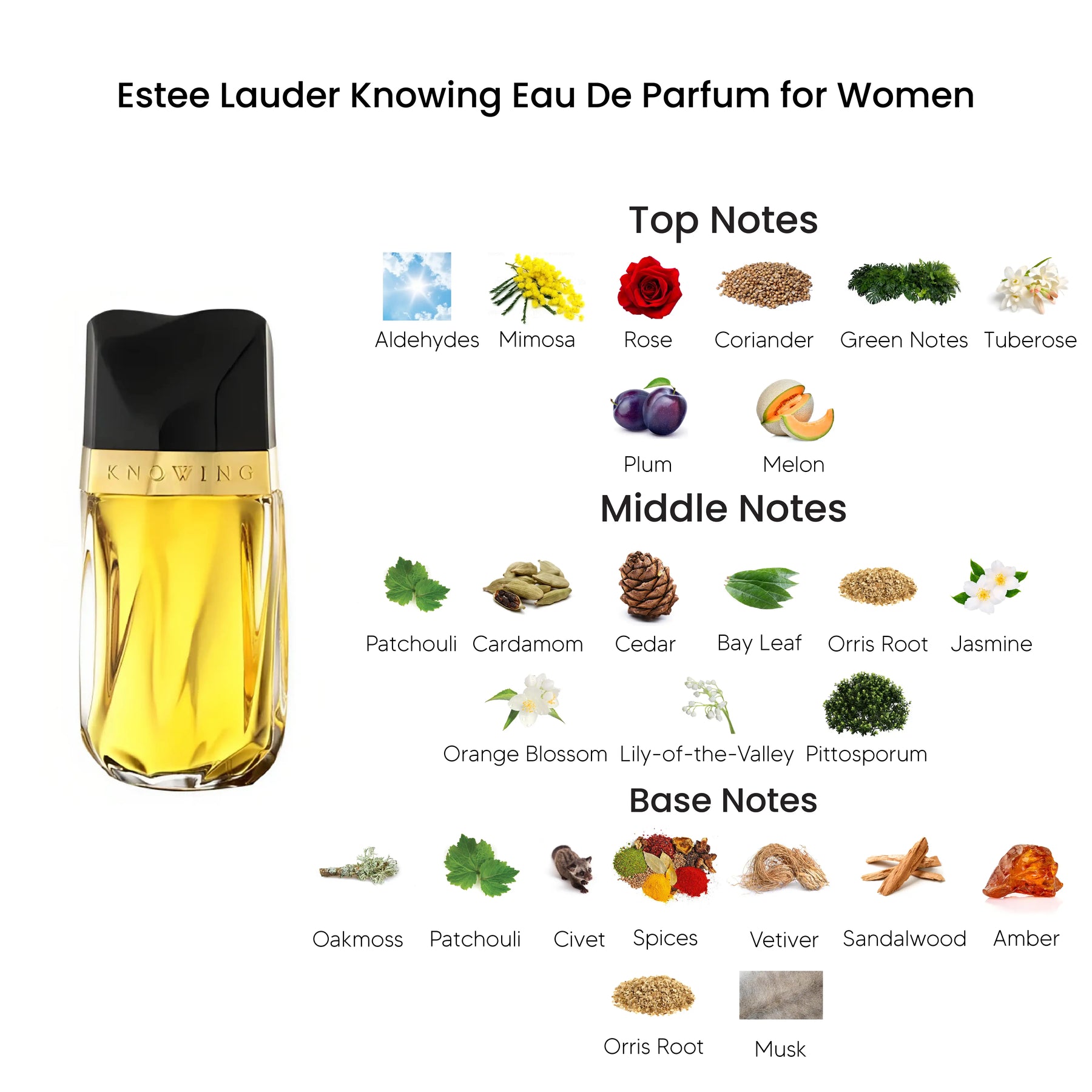 Estee Lauder Knowing Eau De Parfum for Women 75ML