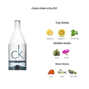 Calvin Klein In2u Eau De Toilette for Men